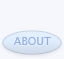 About us button (disabled)