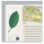 Lynedoch Eco-Village brochure design button