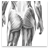 Royce sketch button
